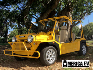 golf cart financing, coral springs golf cart financing, easy golf cart financing