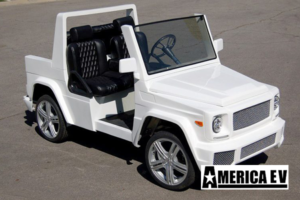 america ev california roadster woody, america ev 39 roadster woody