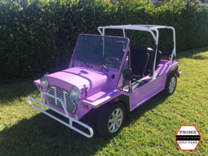 affordable golf cart rental coral springs, golf cart rent coral springs