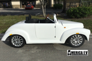 affordable golf cart rental coral springs, golf cart rent coral springs