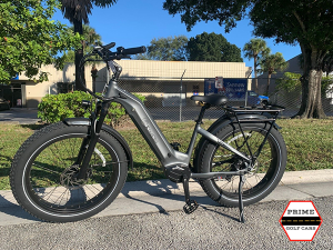 types of ebike, electric bike rentals, e-bike sales